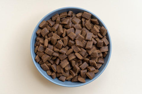 A close-up picture of a bowl of dog food