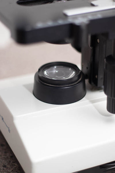 Microscope LED illumination koi parasite identification