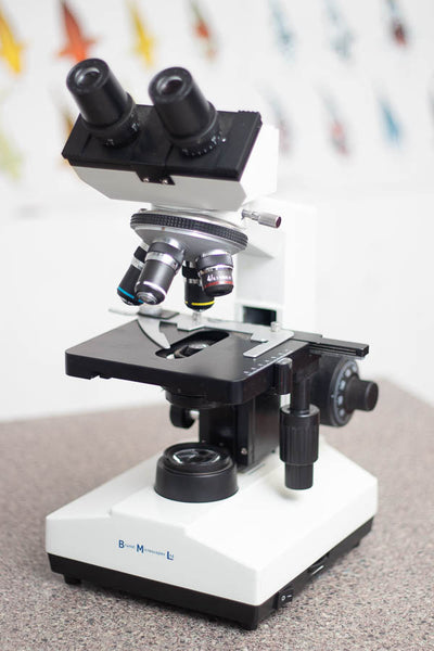 Brunel SP55D microscope for koi parasite identification
