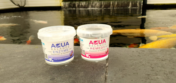 Aqua Source Enzyme & Remedy