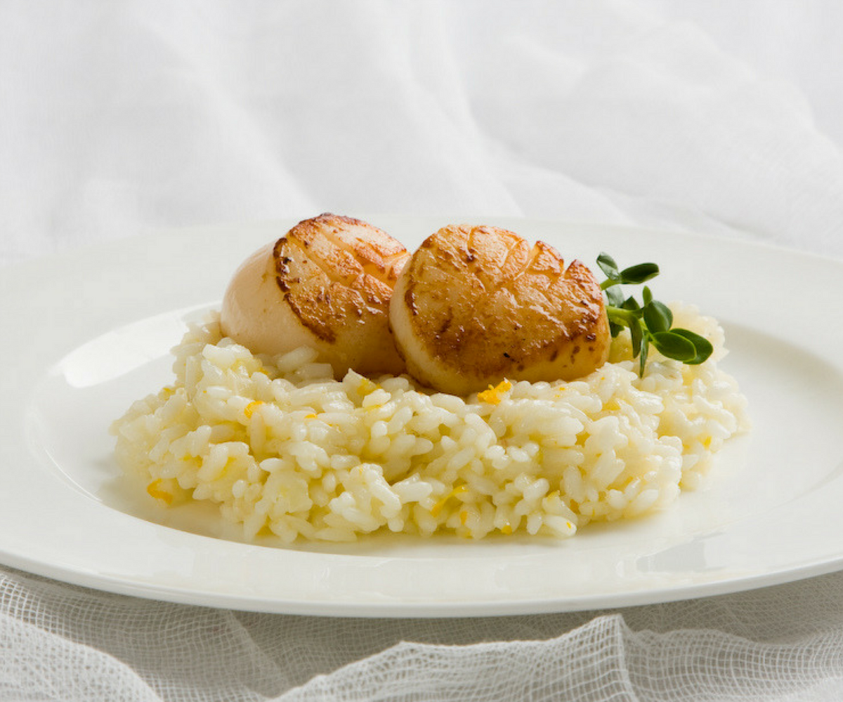 Lemon risotto with seared scallops