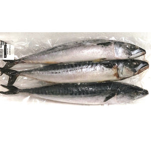 Mackerel Whole, Wild – Gimli Fish Market