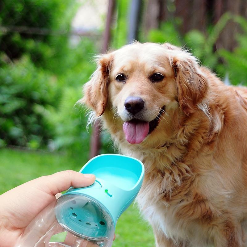 the pup buds water bottle