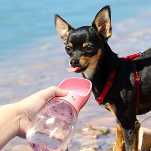 the pup buds water bottle