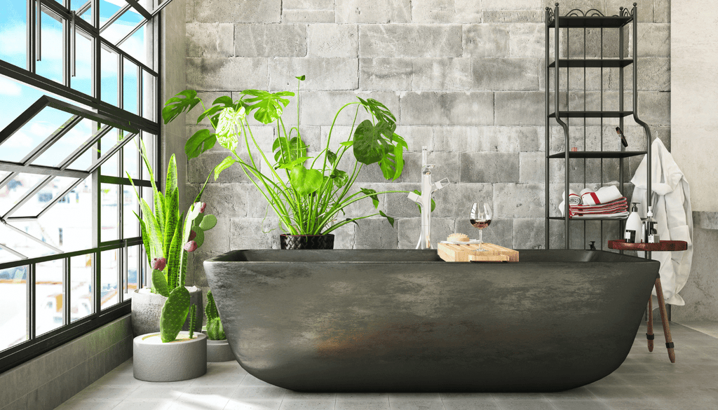 Air purifying plants in the bathroom
