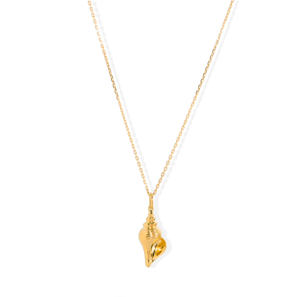 Sea Shell Necklace Fabula Jewels - 