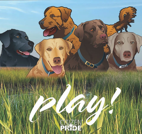 Rest, Relax and Go PLAY!! with your Lab!