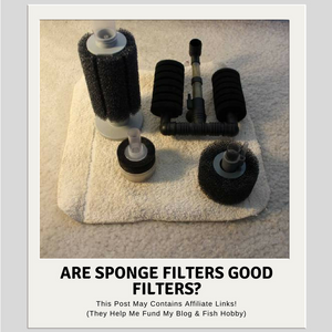 sponge filter not moving