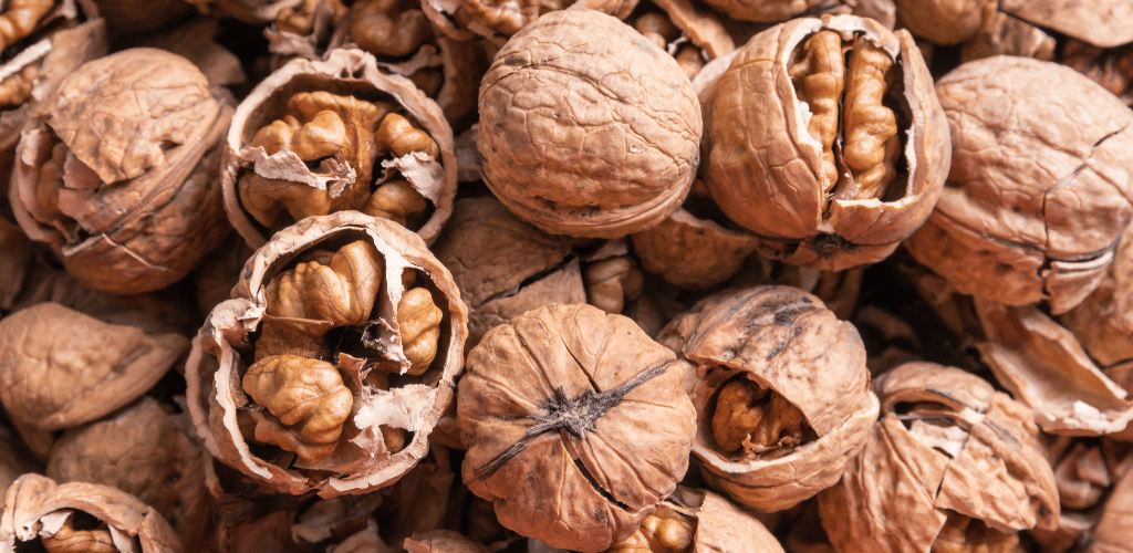walnut-aid-melanin-production