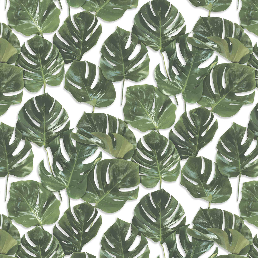 Monstera Wallpaper: Green & White Monstera Leaf - Woodchip & Magnolia