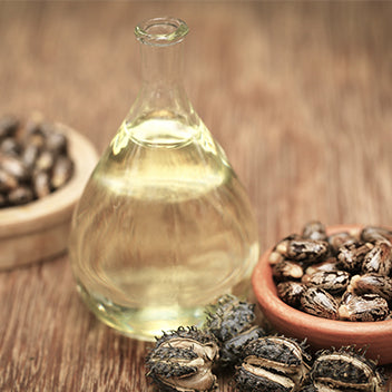 Castor Bean Oil