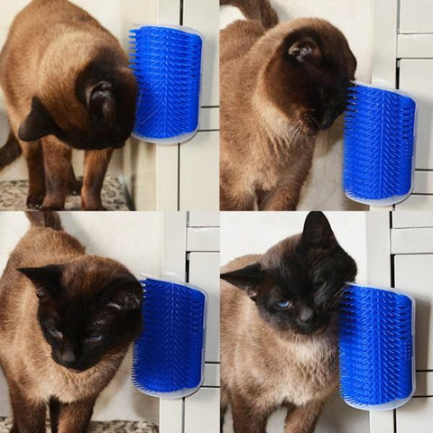 CATGROOMER™: Self Grooming for Cats 1