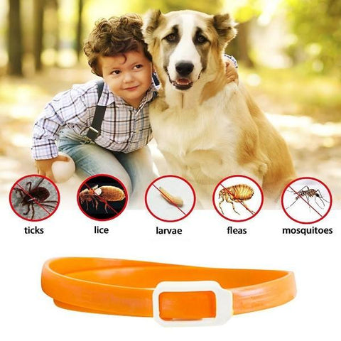 Tick & Flea Collar for Dogs 