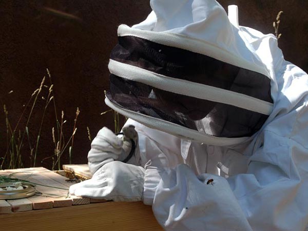 Beekeeping-Protective-Gear-old-suit-hood