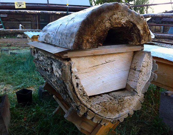 Brooks-Log-Top-Bar-hive