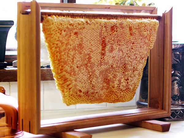 Glass Honey Comb Display Frame
