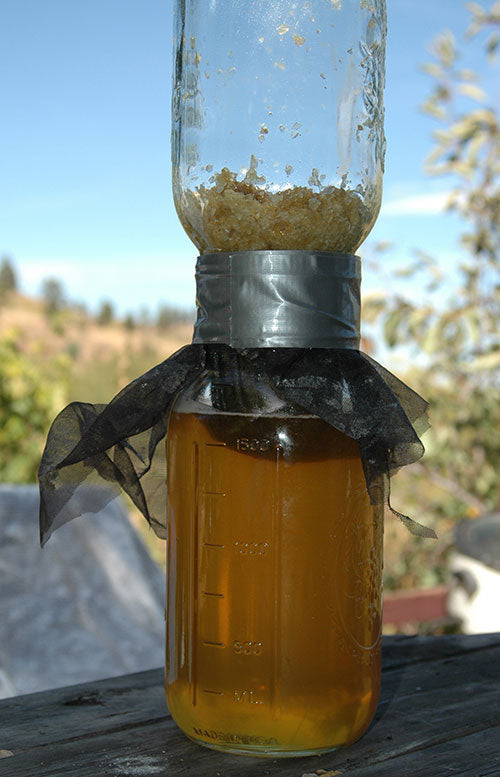 Honey-harvest-crush-strain-method