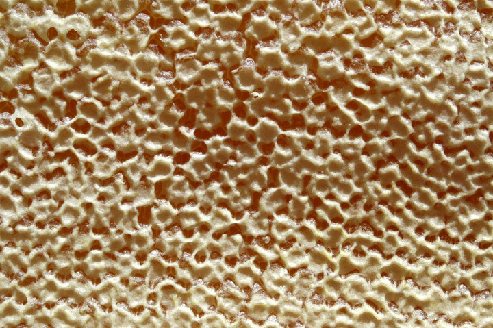 newly capped honey comb cells