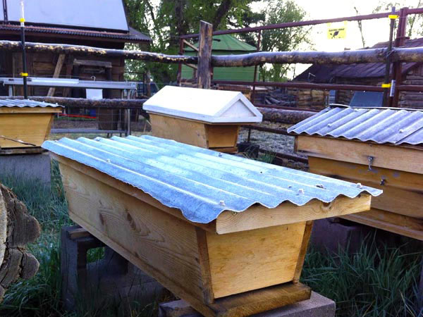 Top-Bar-Hive-apiary