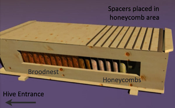 spacers placed in the honeycomb area of the hive