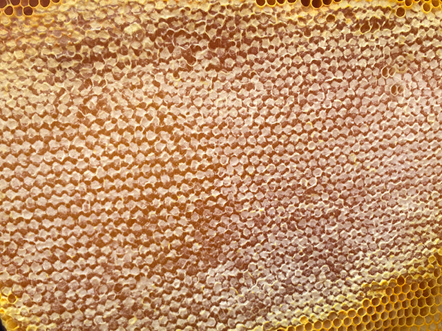 honey-comb-bee-hive-heat-sink.jpg