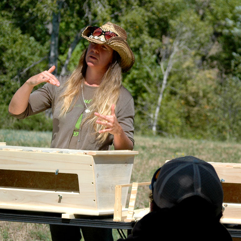 karen bee guardian teaching natural beekeeping classes