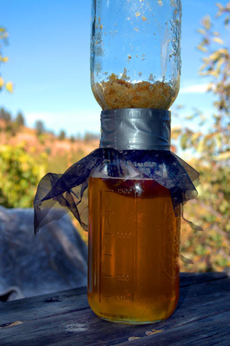 processing-honey-beehive-meshing-jar-hourglass-