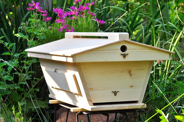 ventilated-roof-top-bar-hive