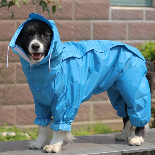 full dog raincoat