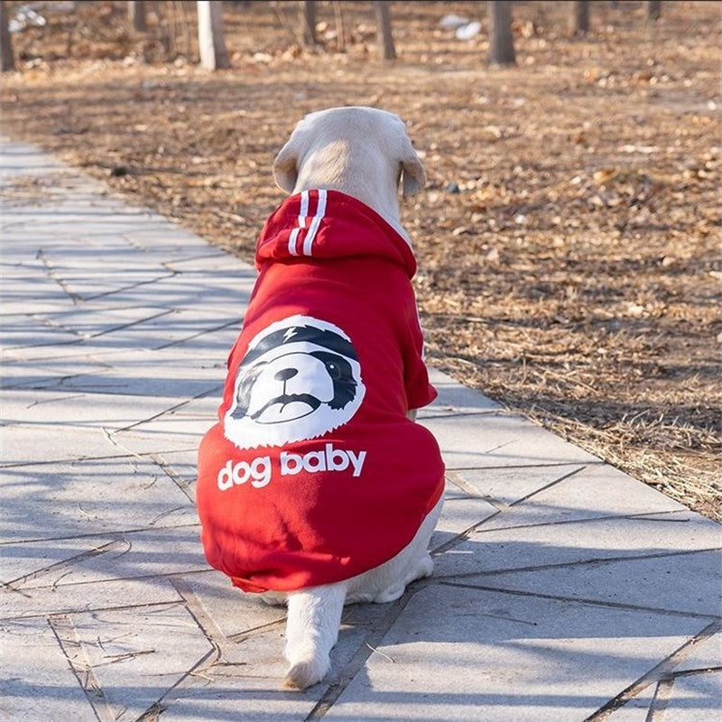 red sox dog jacket