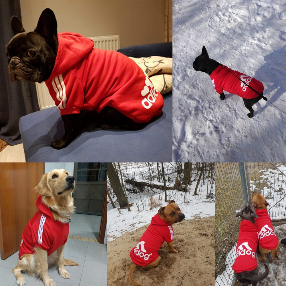 cool dog hoodies