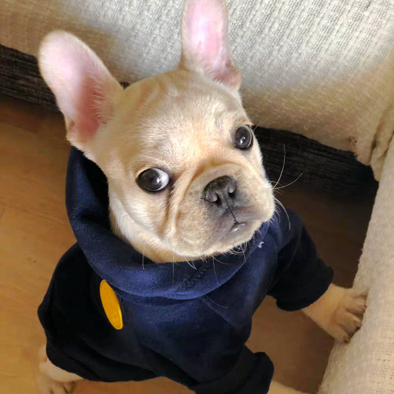 Dog Hoodie | Online Hoodies Store | The Hoodie Store Australia