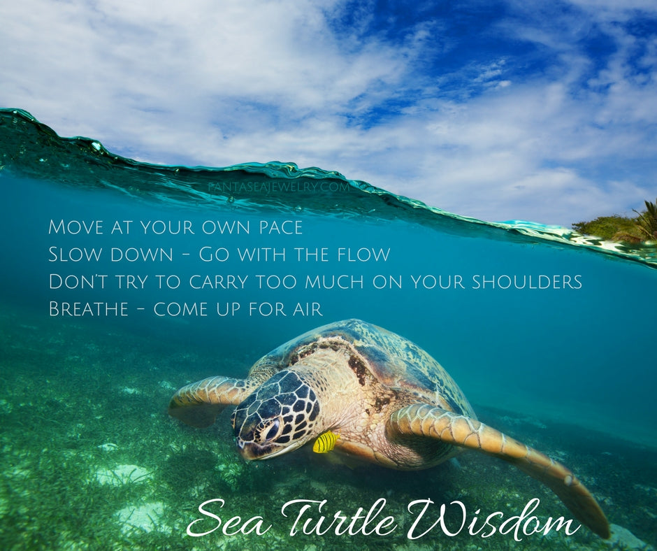 how-do-green-sea-turtles-breathe