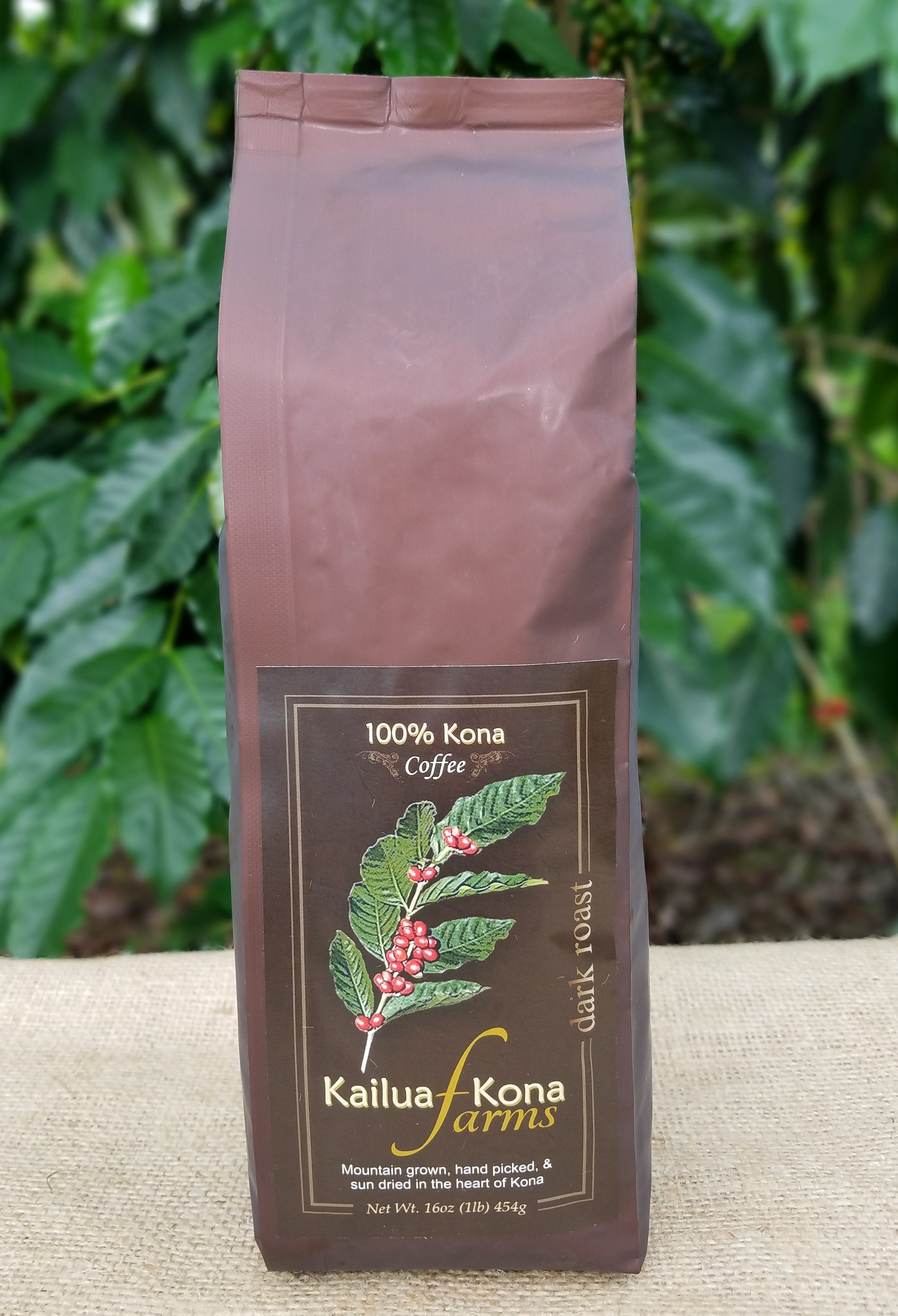 hot lava kona coffee