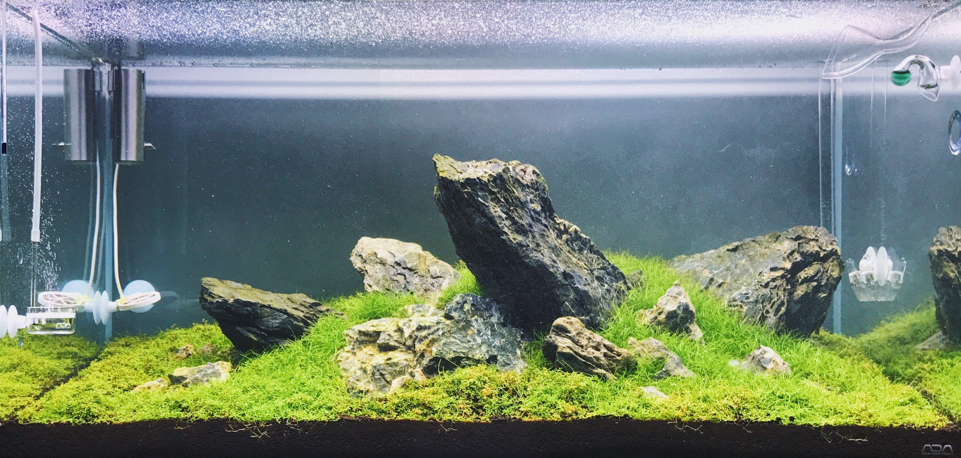 ADA 90-p Planted Tank Glass Aqua