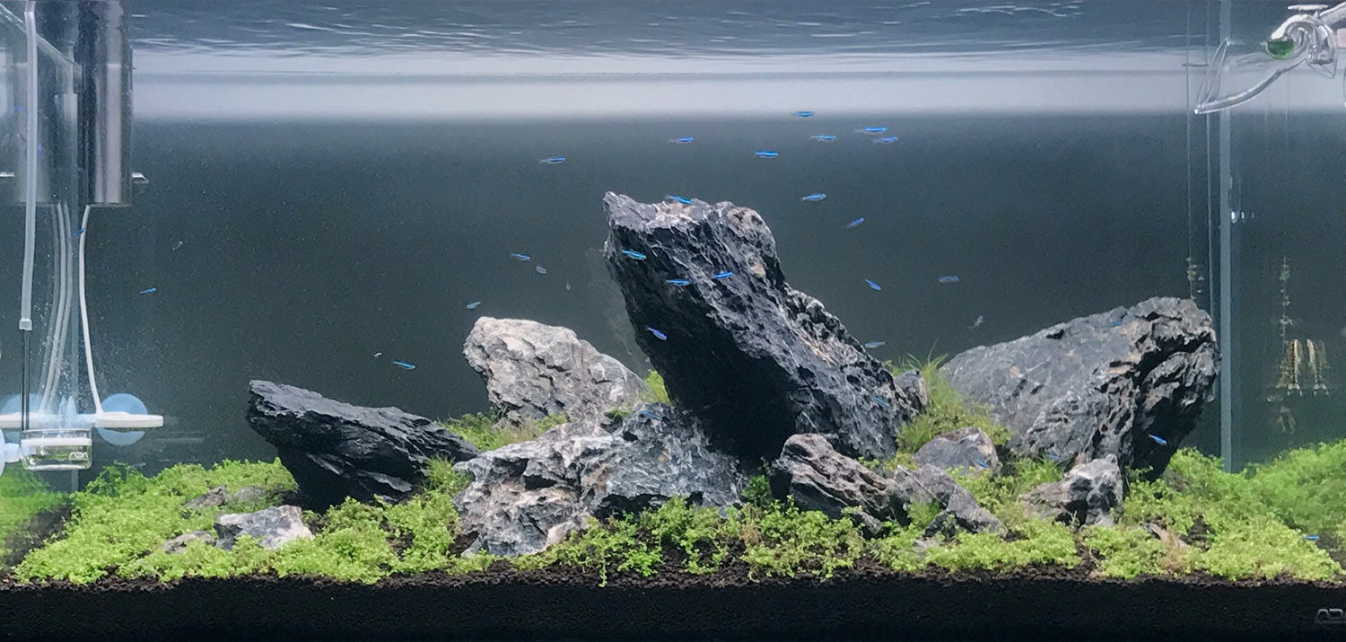 Glass Aqua Planted Aquarium Tank