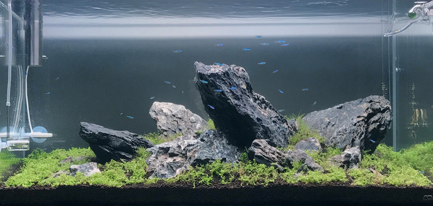 ADA 90-p Planted Tank Glass Aqua