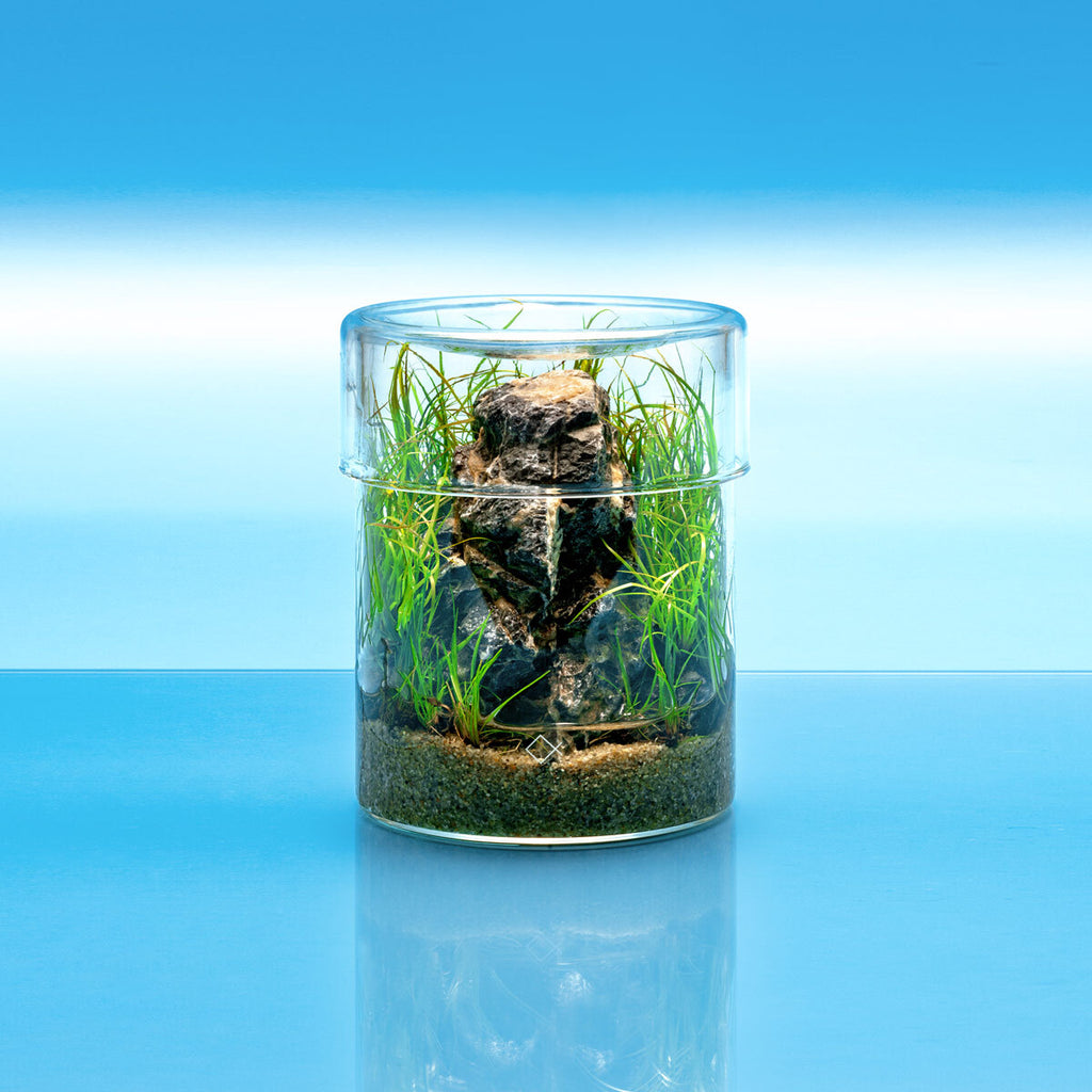 Aqua Worx Iota Terrarium Vivarium Aquarium Plant Cultivation Planter