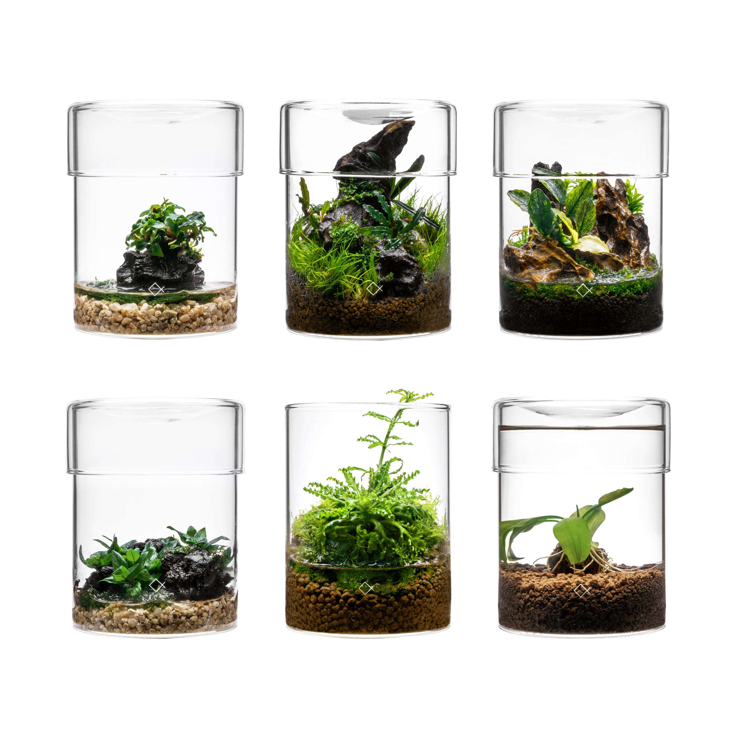 aqua worx iota plant cultivation cup desktop glass terrarium
