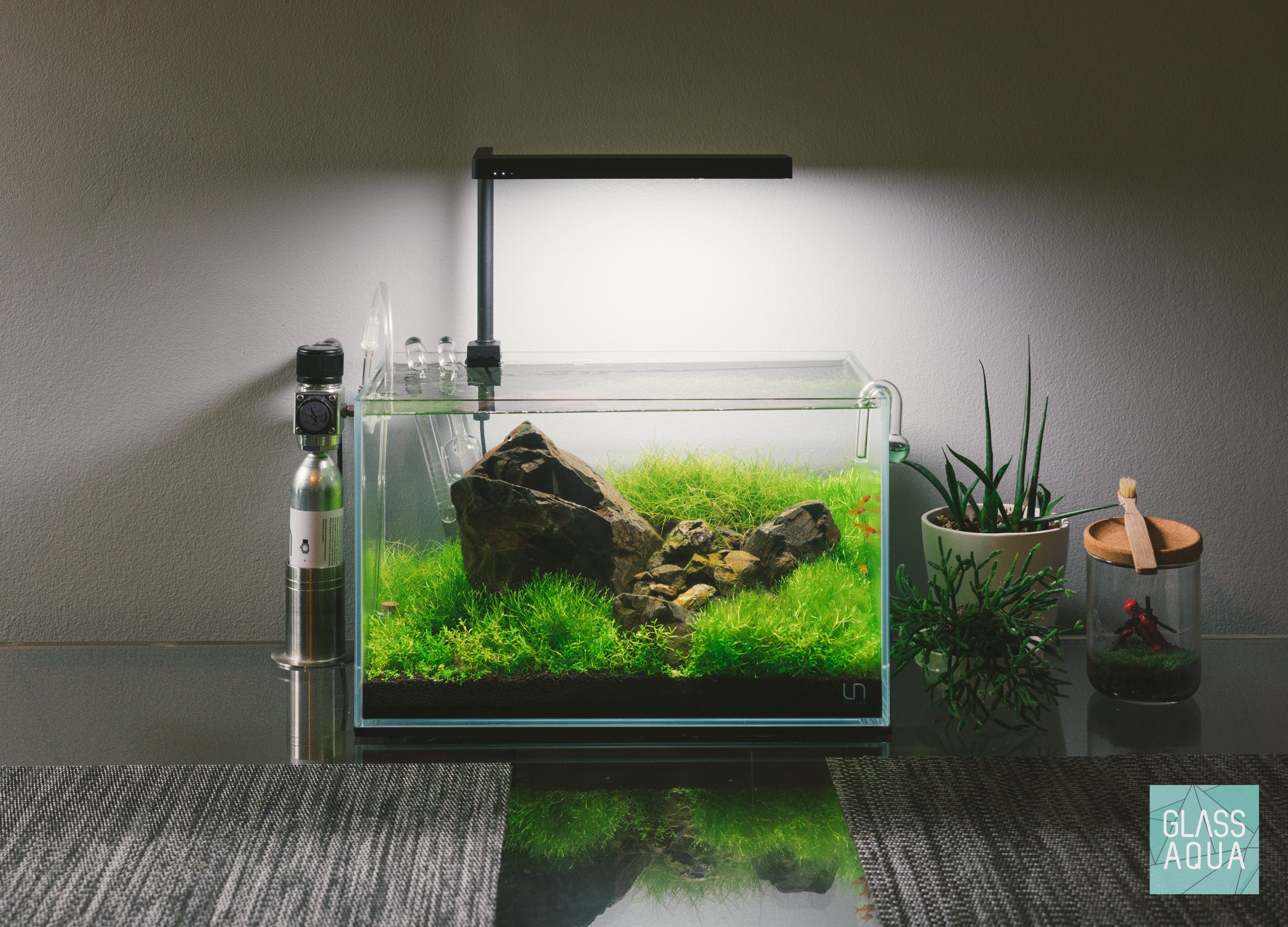 Ultum Nature Systems Planted Nano Iwagumi Tank