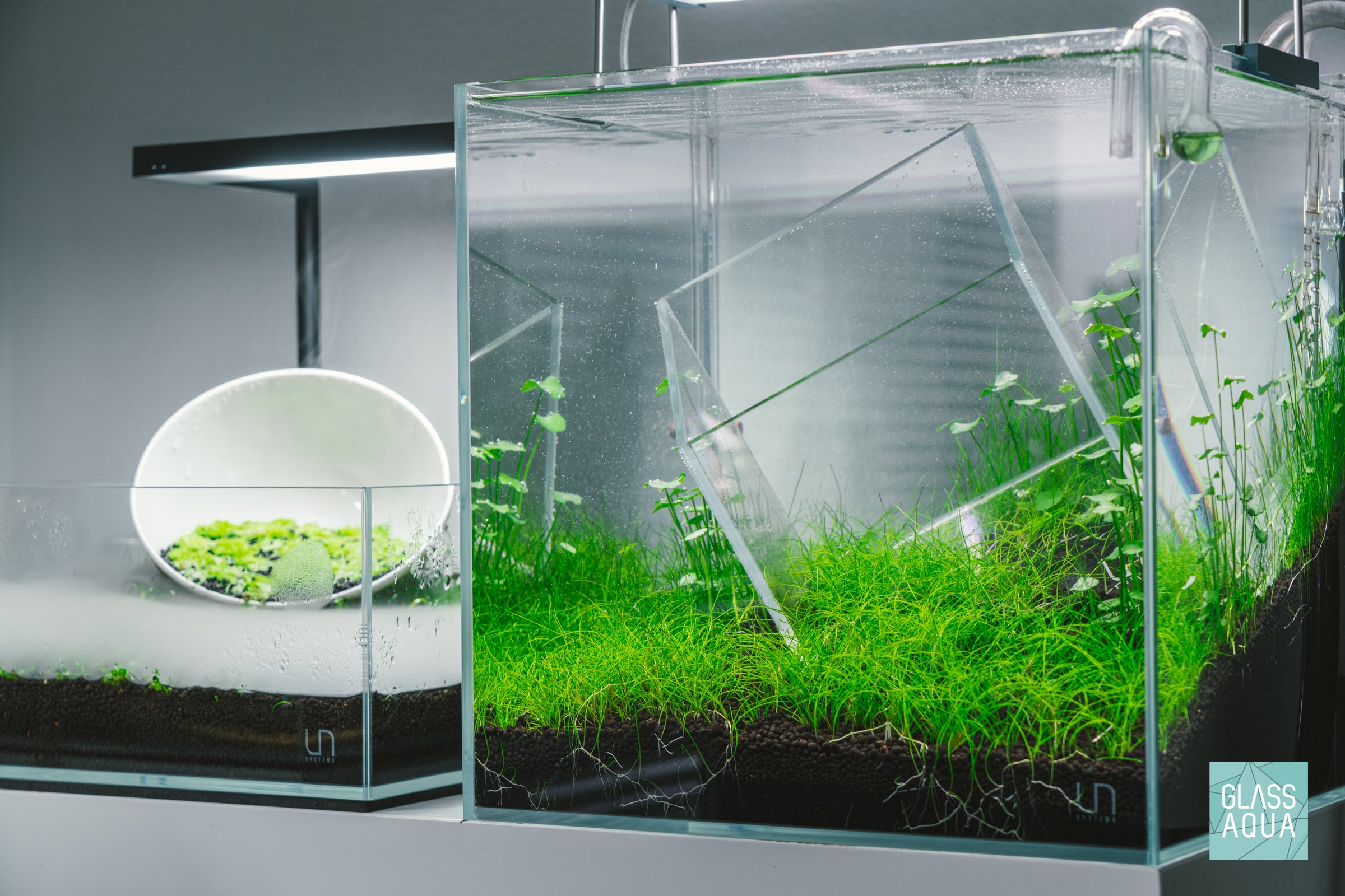 Ultum Nature Systems Planted Cube Aquarium Tank