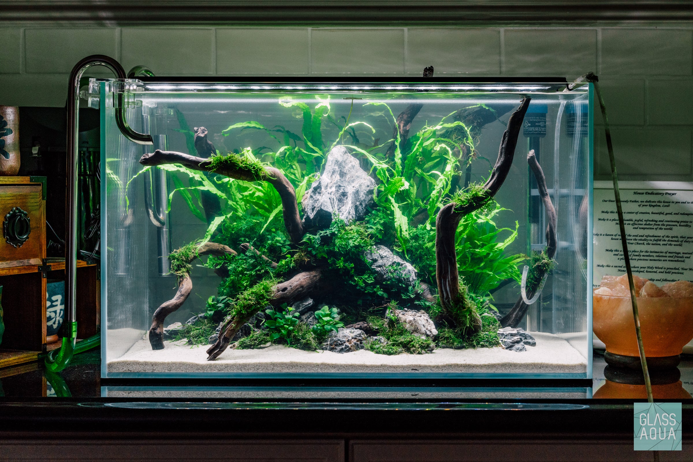 Glass Aqua Planted Aquarium Tank Inspiration - Shop The Look