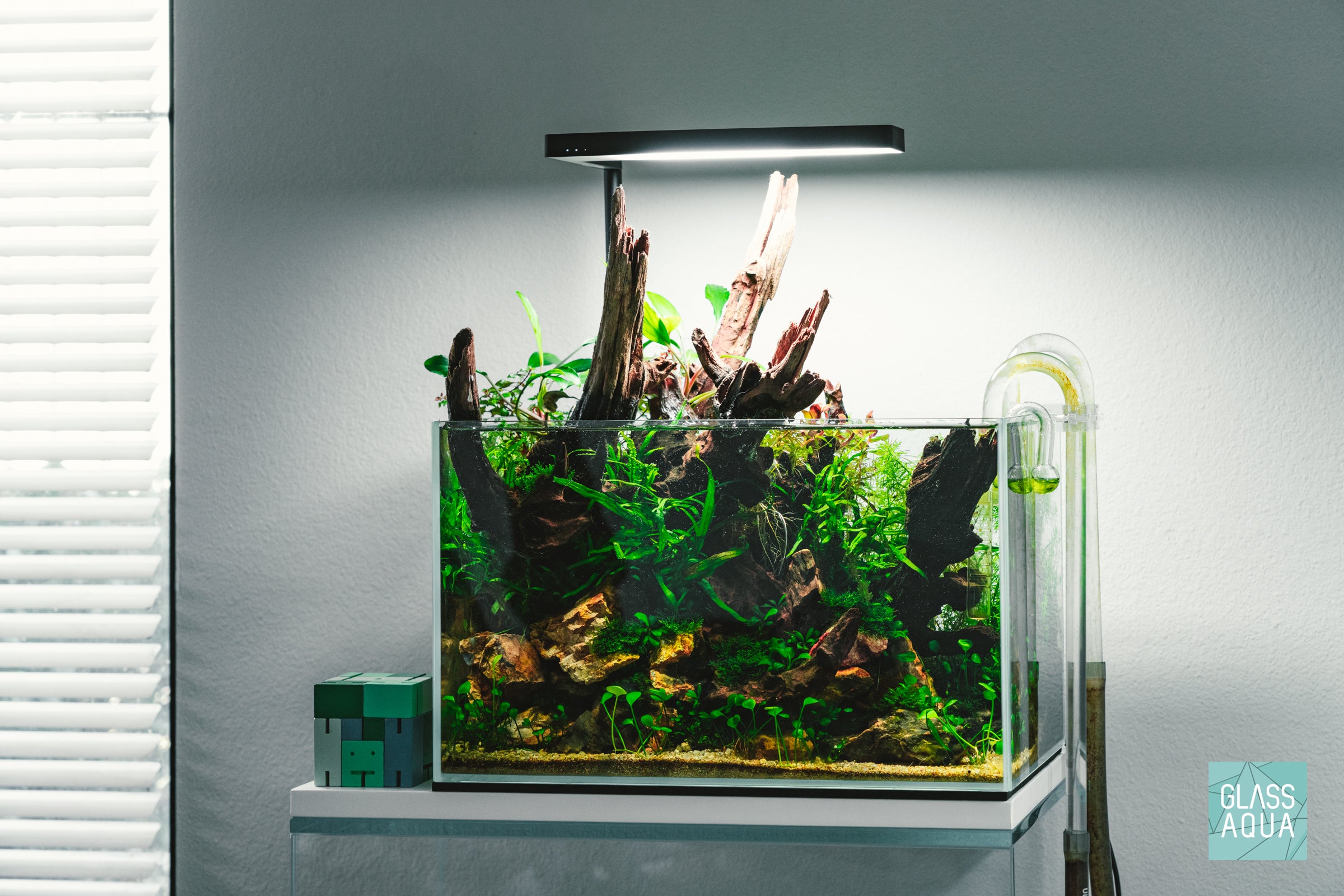 Iwagumi Ultum Nature Systems 5N Nano Aquarium Tank