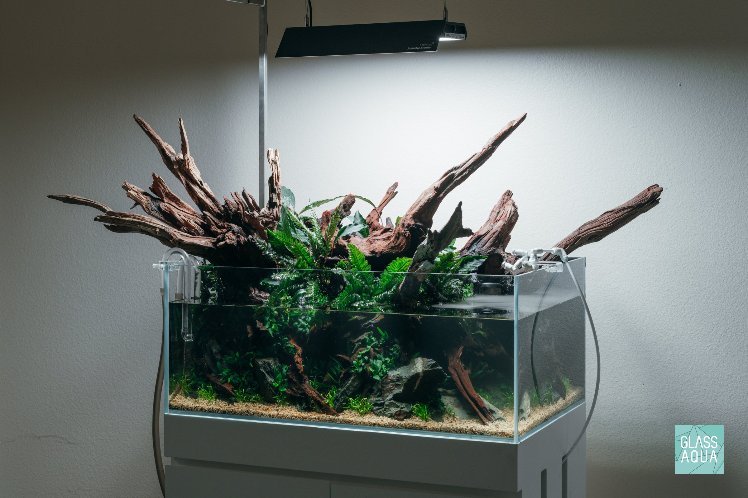 Ryuboku - Hybrid Planted Aquarium Tank UNS 75S Shallow Tank