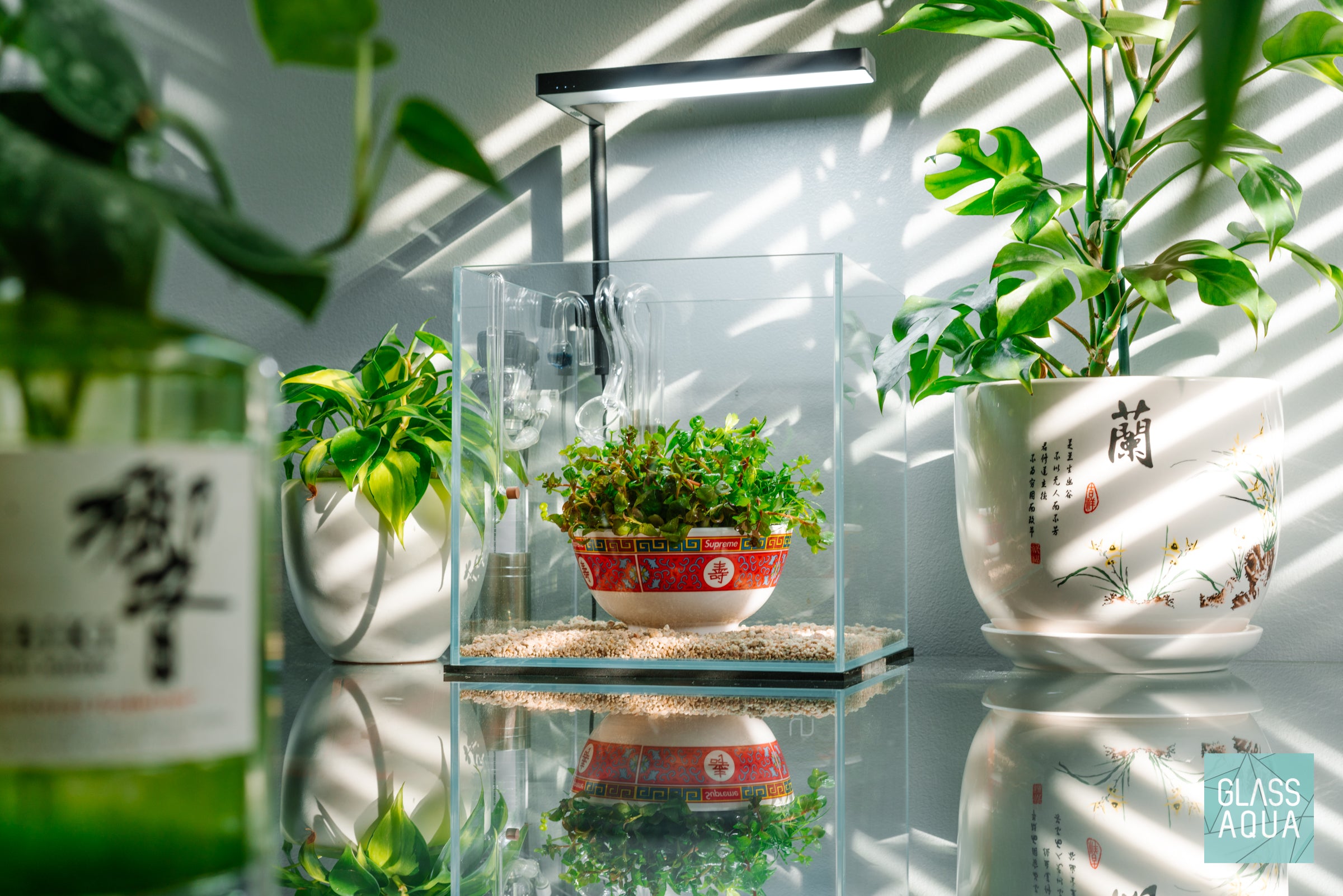 Ikebana Dutch Style Planted Aquarium Cube Tank UNS 25C