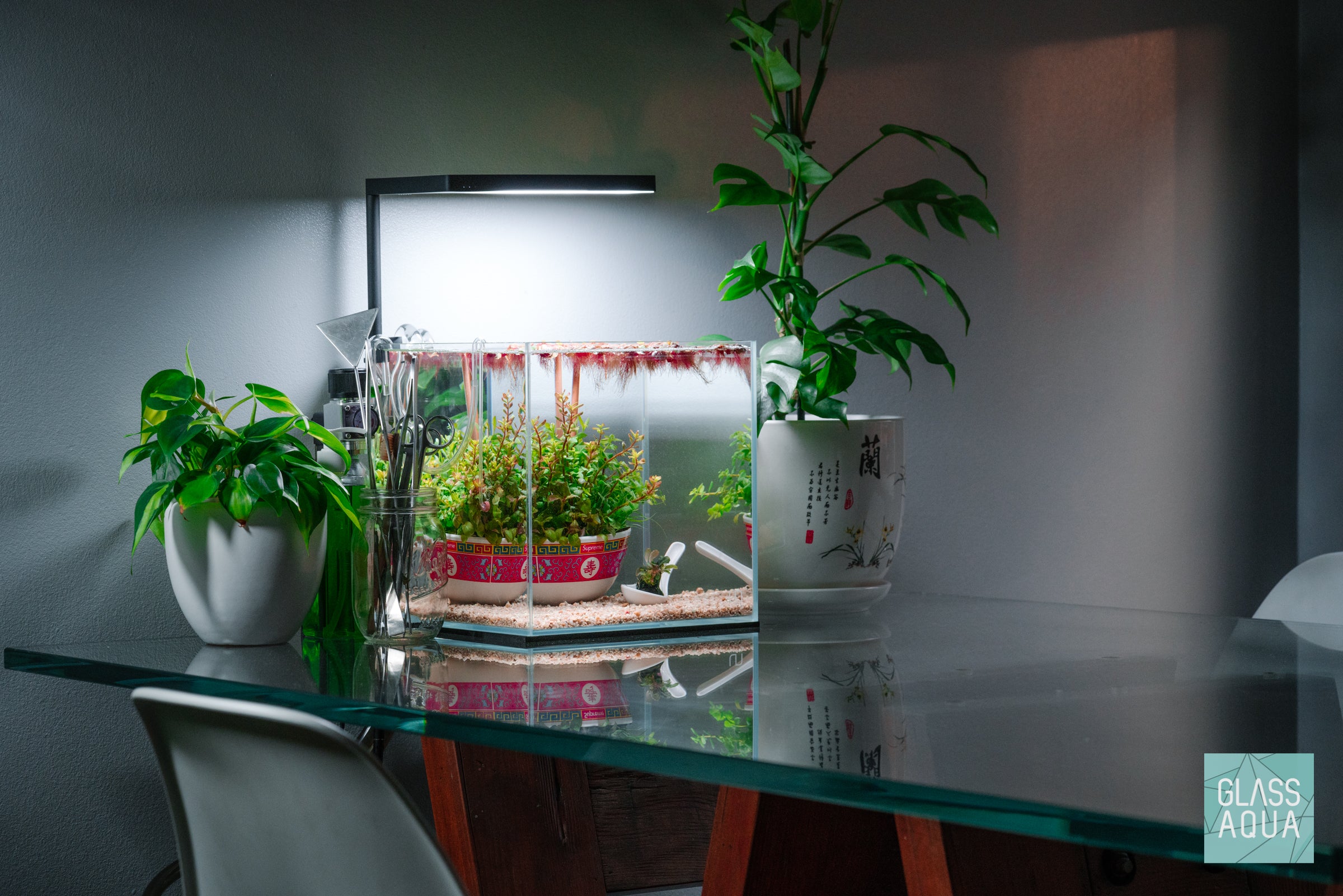 Ikebana Dutch Style Planted Aquarium Cube Tank UNS 25C