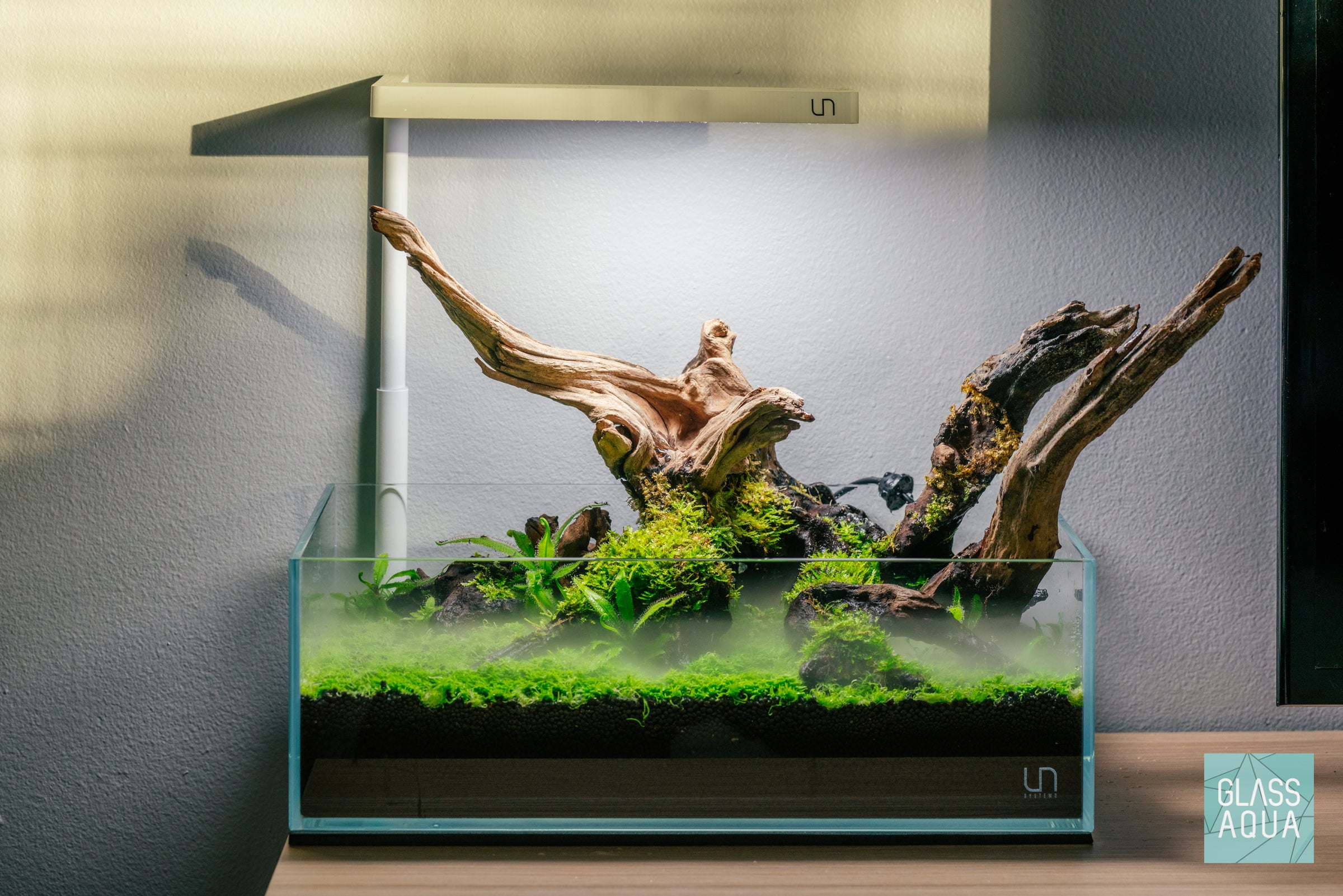 Carnivorous: Dry Aquarium Terrarium UNS 5S Shallow – Glass Aqua