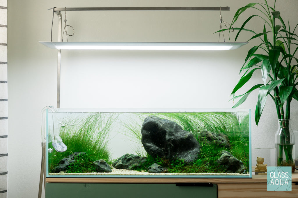 ONF Square Light Hanging Kit on Ultum Nature Systems 90L Planted Aquarium Tank