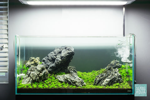 Glass Aqua Aquascape Planted Aquarium 90P