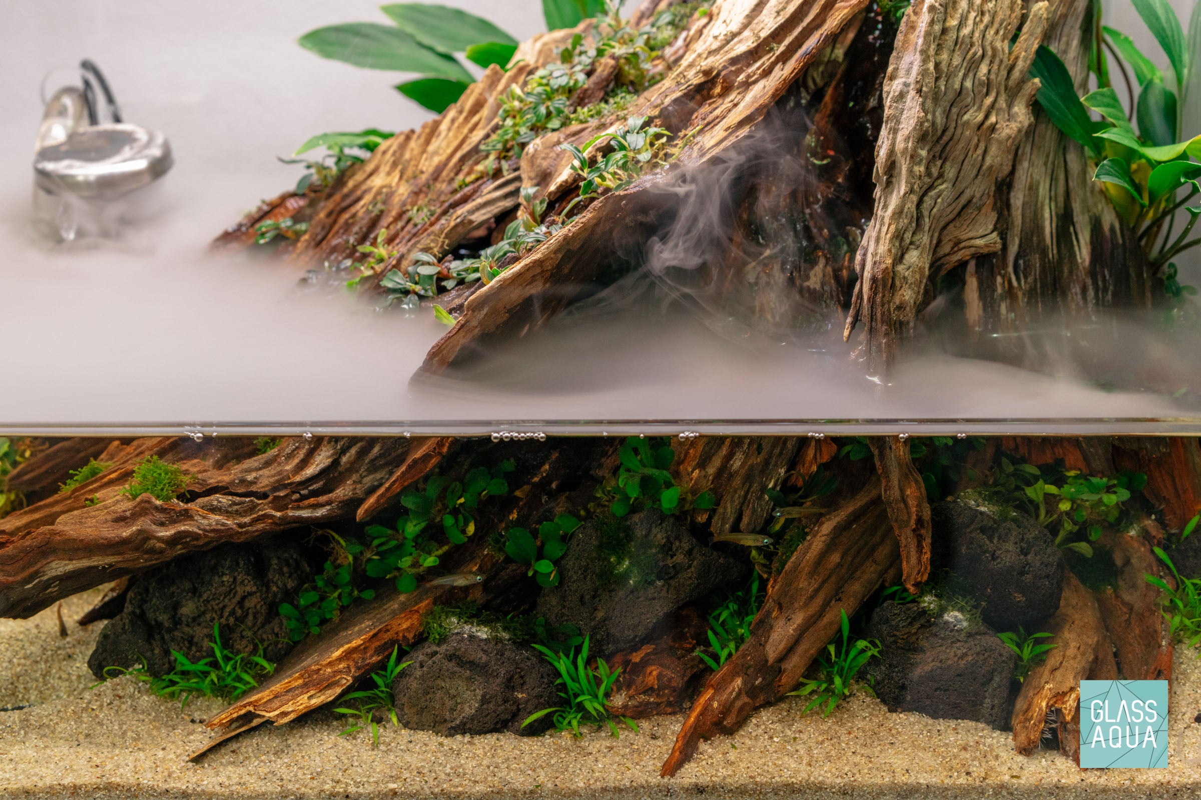 Fallen Forest - Ultum Nature Systems 45E Paludarium Aquarium Tank